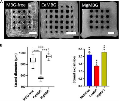 Composite Bioinks With Mesoporous Bioactive Glasses—A Critical Evaluation of Results Obtained by In Vitro Experiments